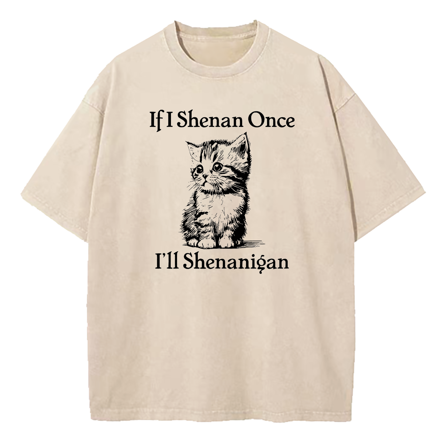  If I Shenan Once I'll Shenanigan Washed T-Shirt