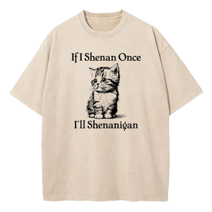  If I Shenan Once I'll Shenanigan Washed T-Shirt