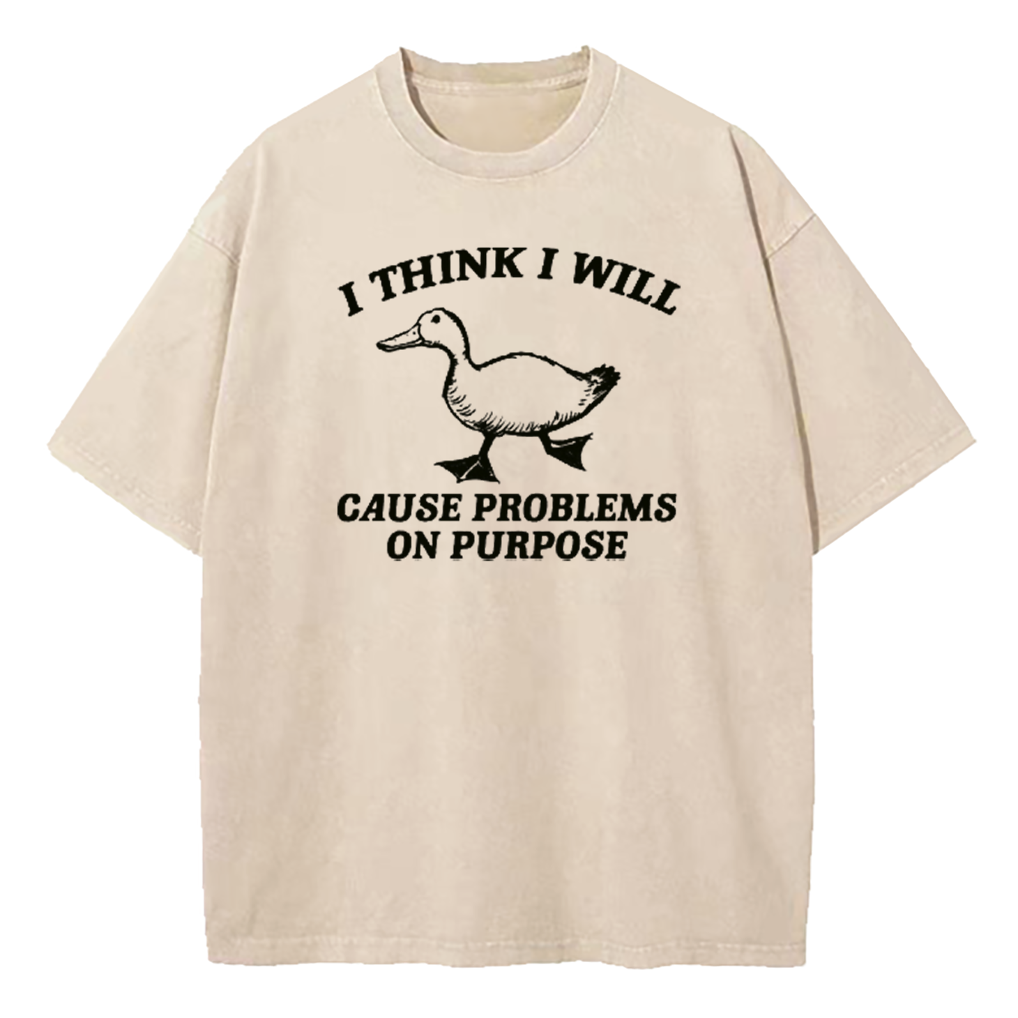 I Think I Will Cause Problems On Purpose Washed T-Shirt