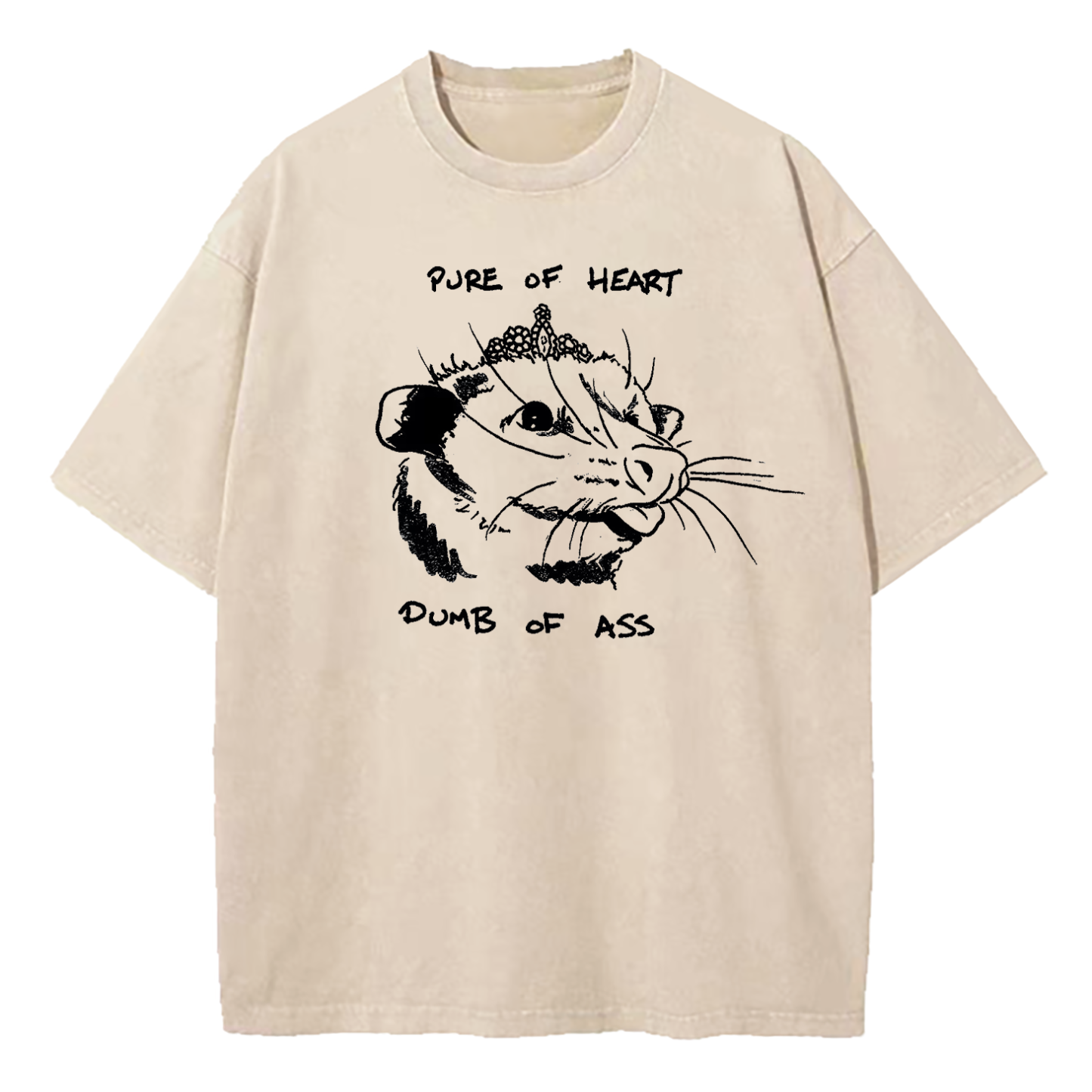 Pure Of Heart Dumb Of Ass Washed T-Shirt