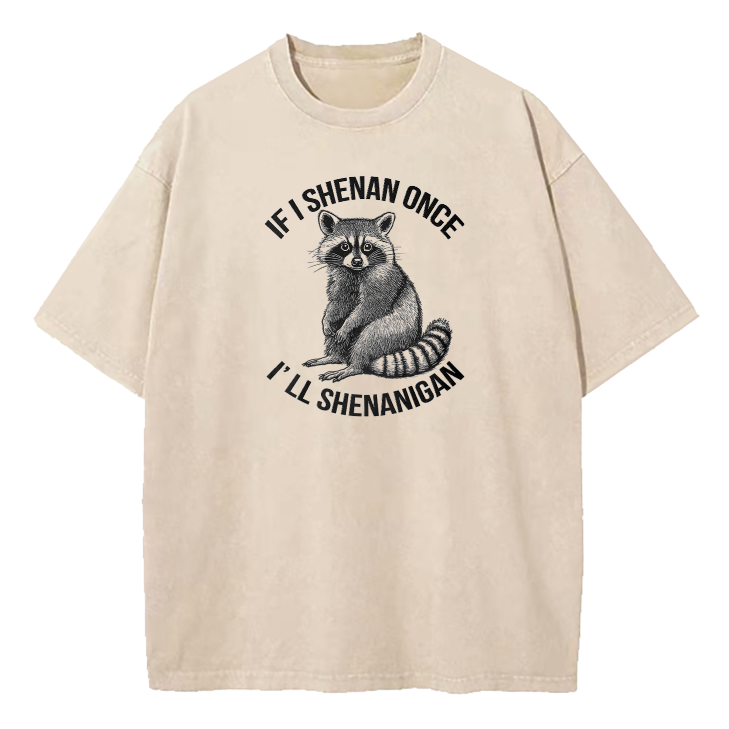 If I Shenan Once I'll Shenanigan Washed T-Shirt