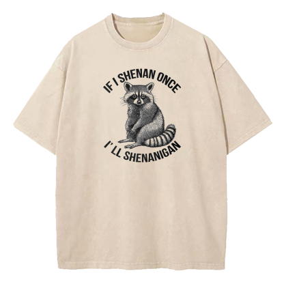 If I Shenan Once I'll Shenanigan Washed T-Shirt