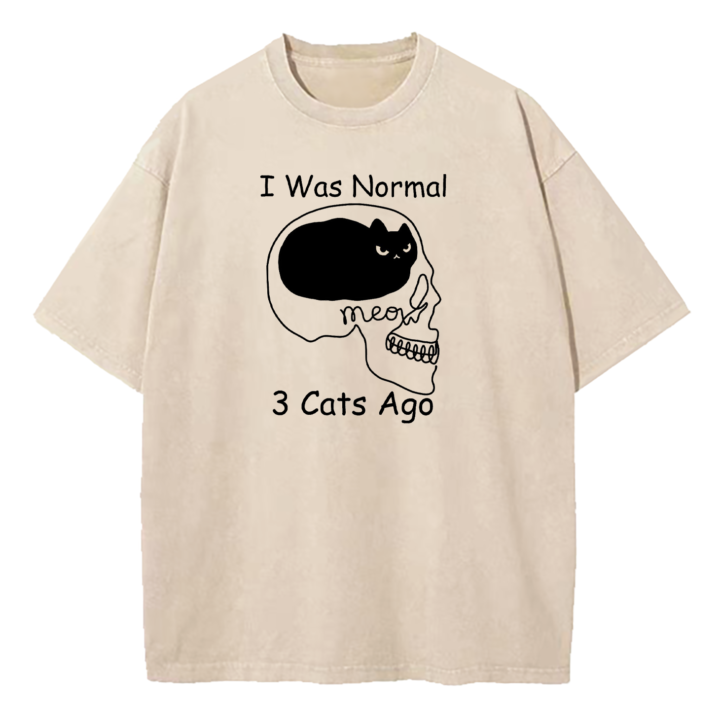 I Was Normal 3 Cats Ago Washed T-Shirt