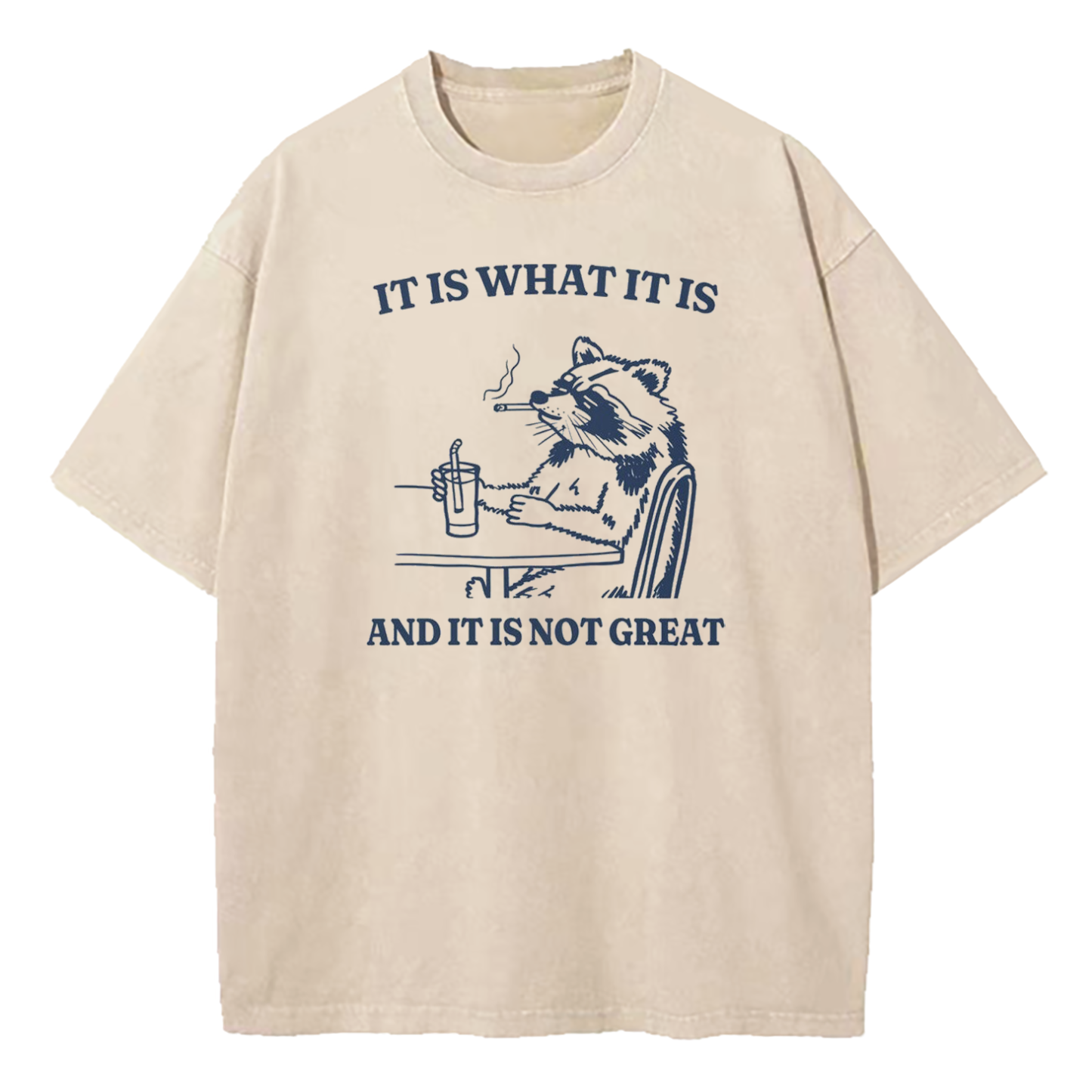 It Is What It Is Funny Washed T-Shirt