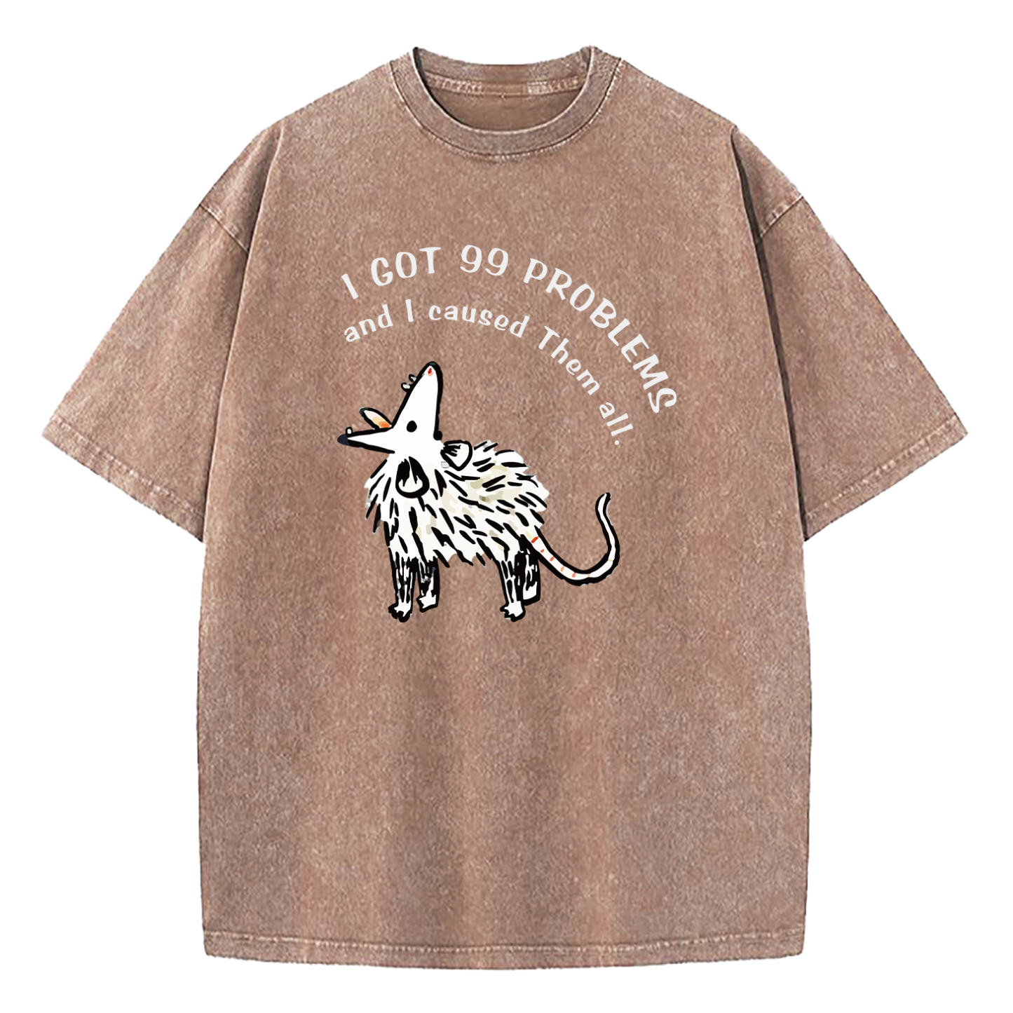 I Got 99 Problems And I Caused Them All Washed T-Shirt