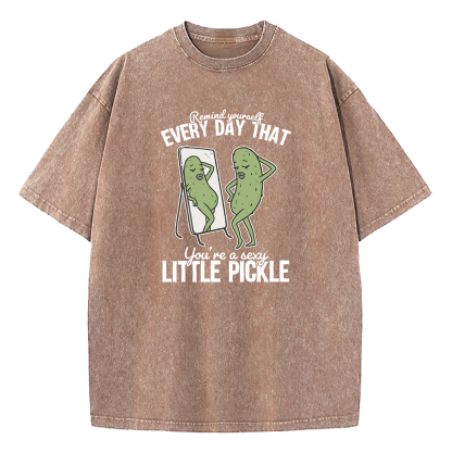 Remind Yourself Every Day That You're A S-xy Little Pickle Washed T-Shirt