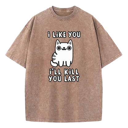I Like You Ill Kill You Last Washed T-Shirt