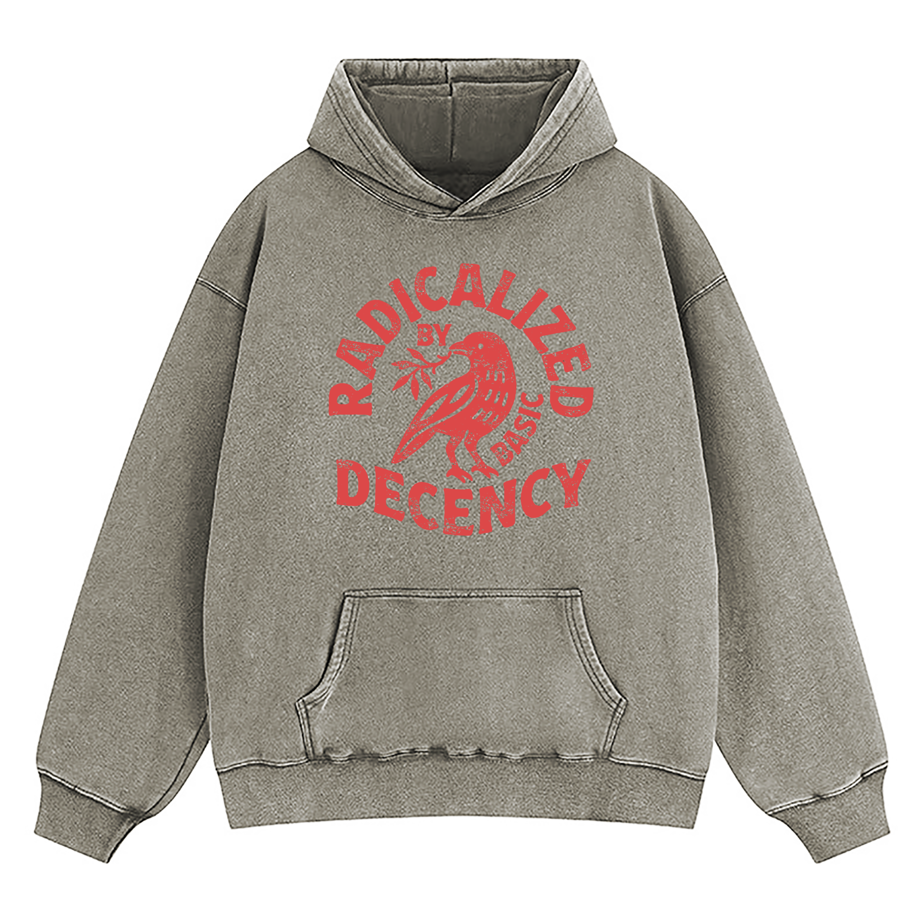 Radicalized By Basic Decency Washed Hoodie