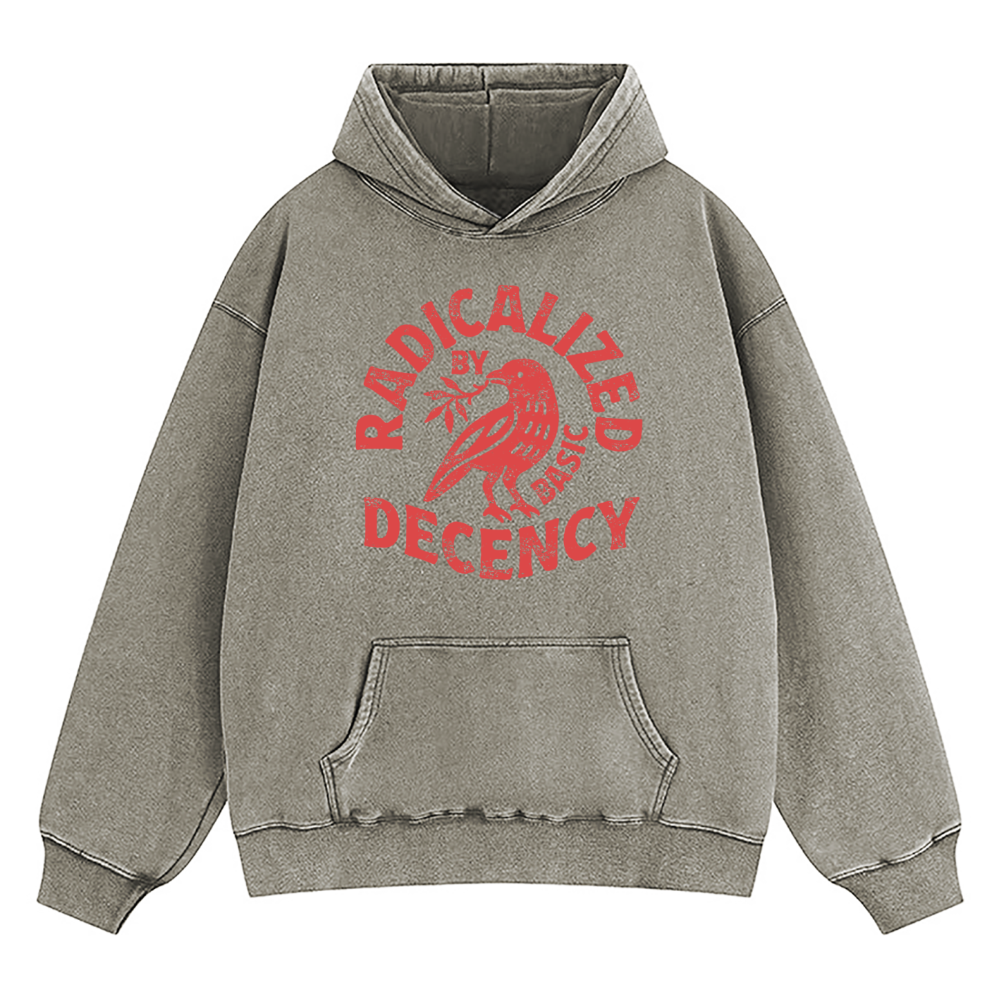 Radicalized By Basic Decency Washed Hoodie