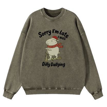 Sorry I'm Late I Was Dilly Dallying Washed Sweatshirt