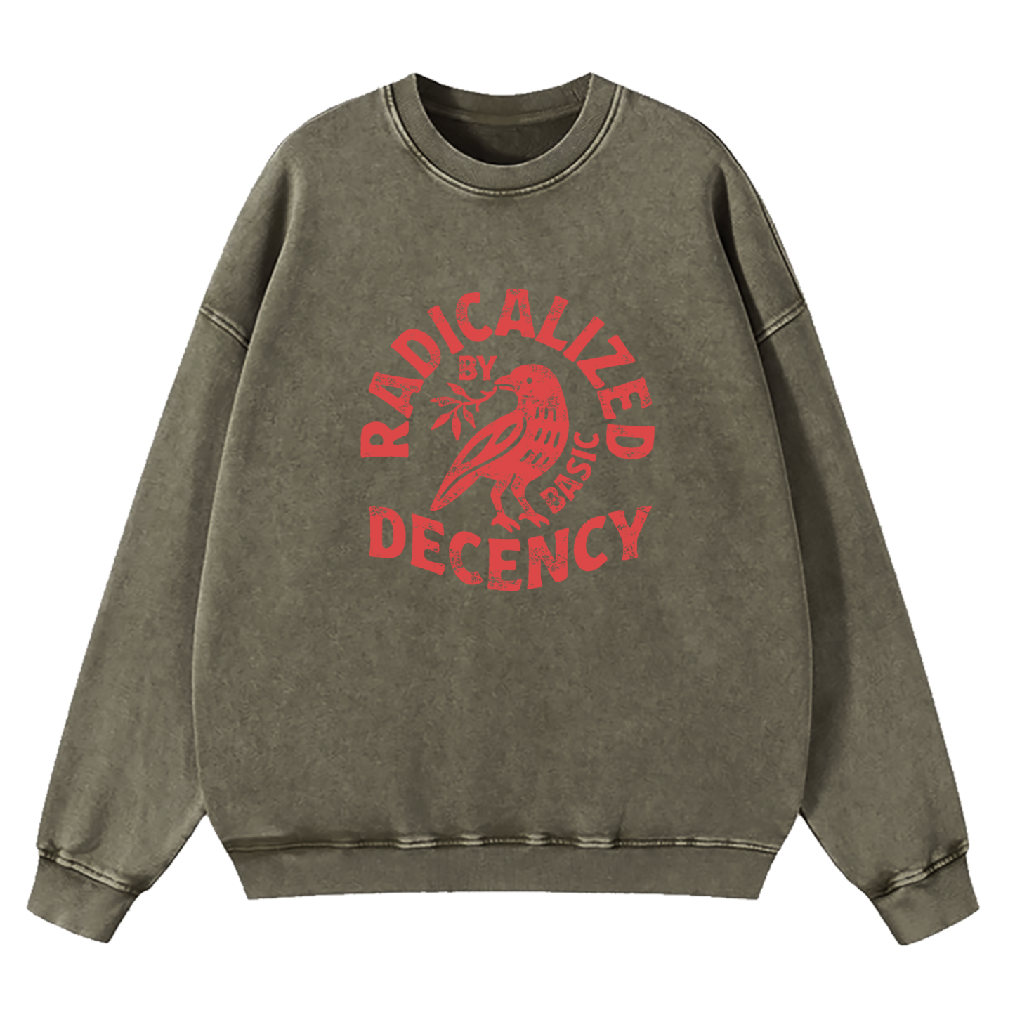 Radicalized By Basic Decency Washed Sweatshirt