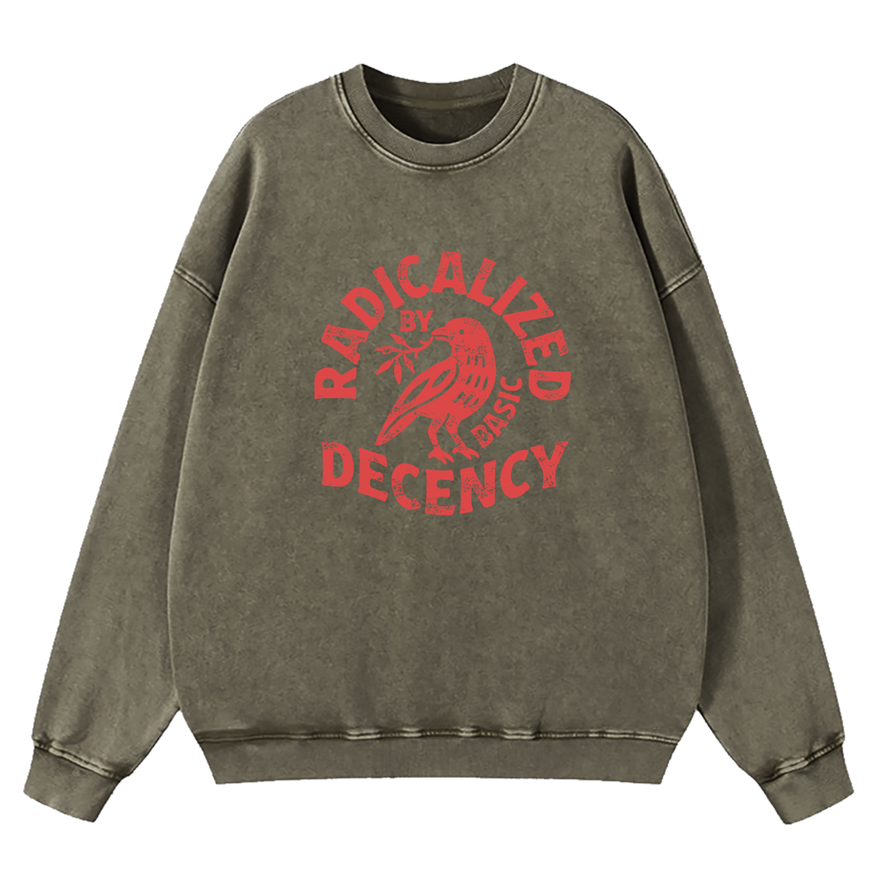 Radicalized By Basic Decency Washed Sweatshirt
