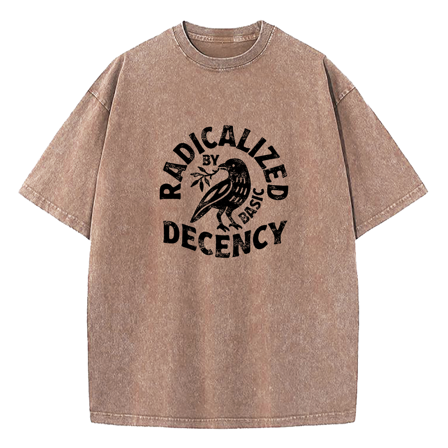 Radicalized By Basic Decency Washed T-Shirt