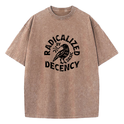 Radicalized By Basic Decency Washed T-Shirt