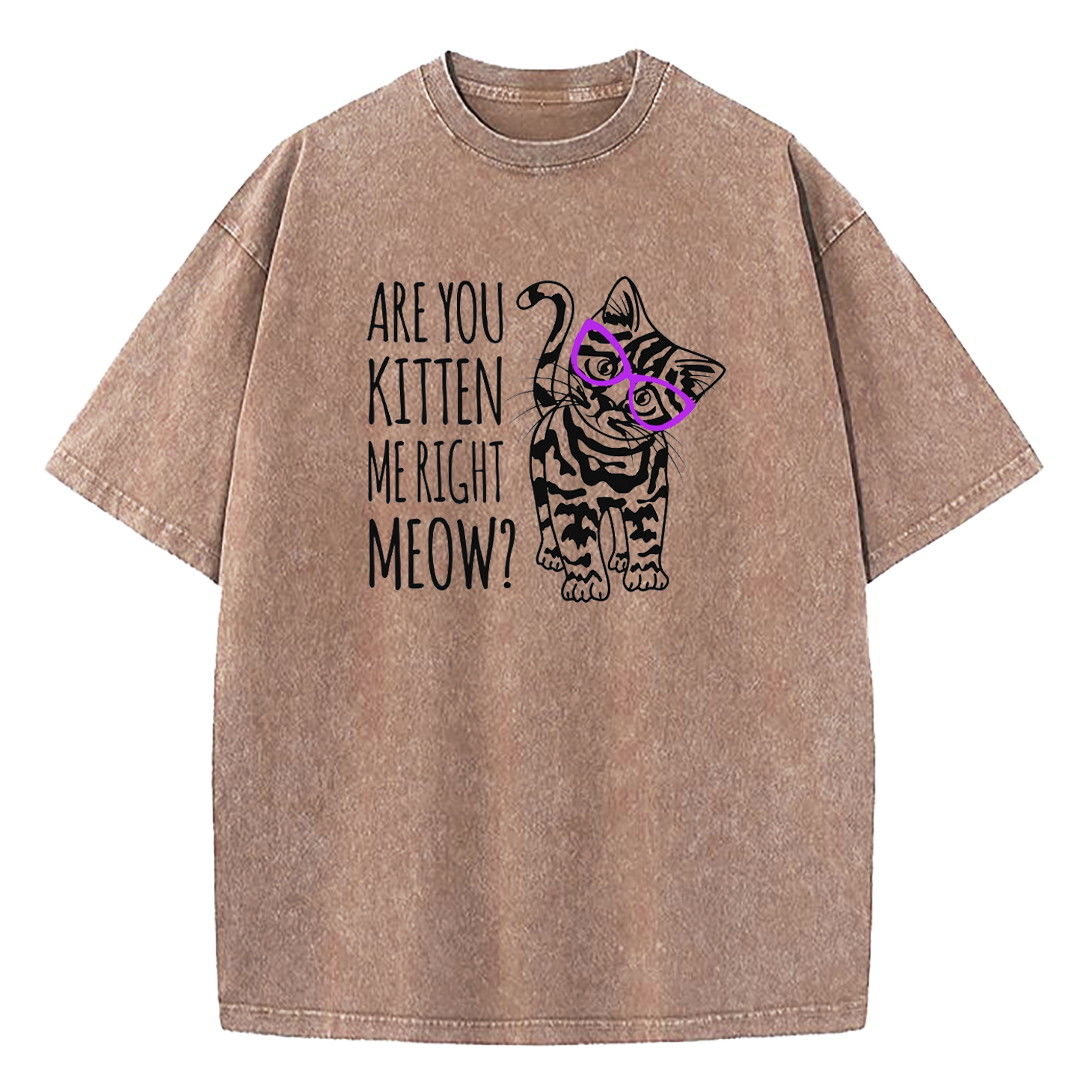 Are You Kitten Me Right Meow Washed T-Shirt