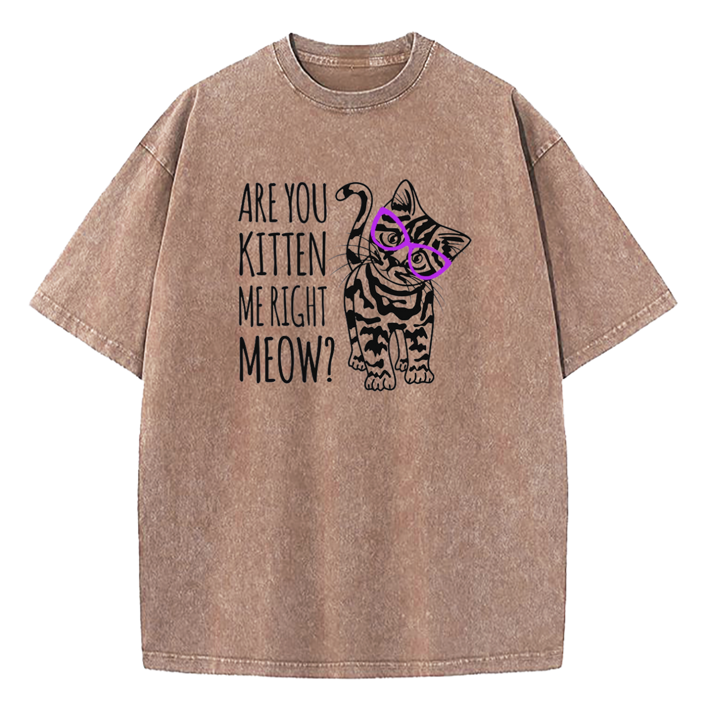 Are You Kitten Me Right Meow Washed T-Shirt