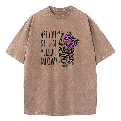 Are You Kitten Me Right Meow Washed T-Shirt