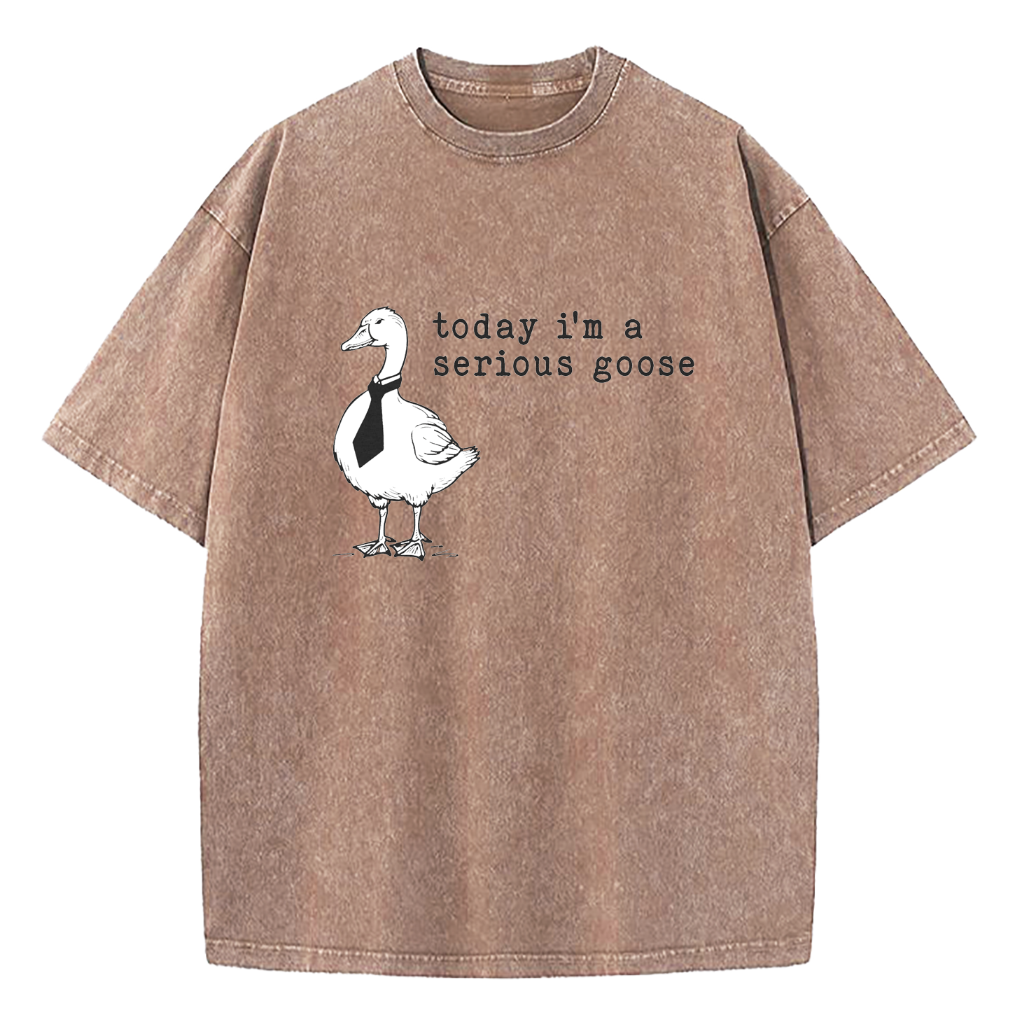 Today I'm A Serious Goose Washed T-Shirt