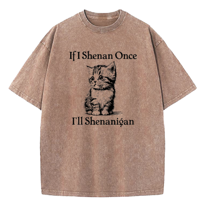  If I Shenan Once I'll Shenanigan Washed T-Shirt