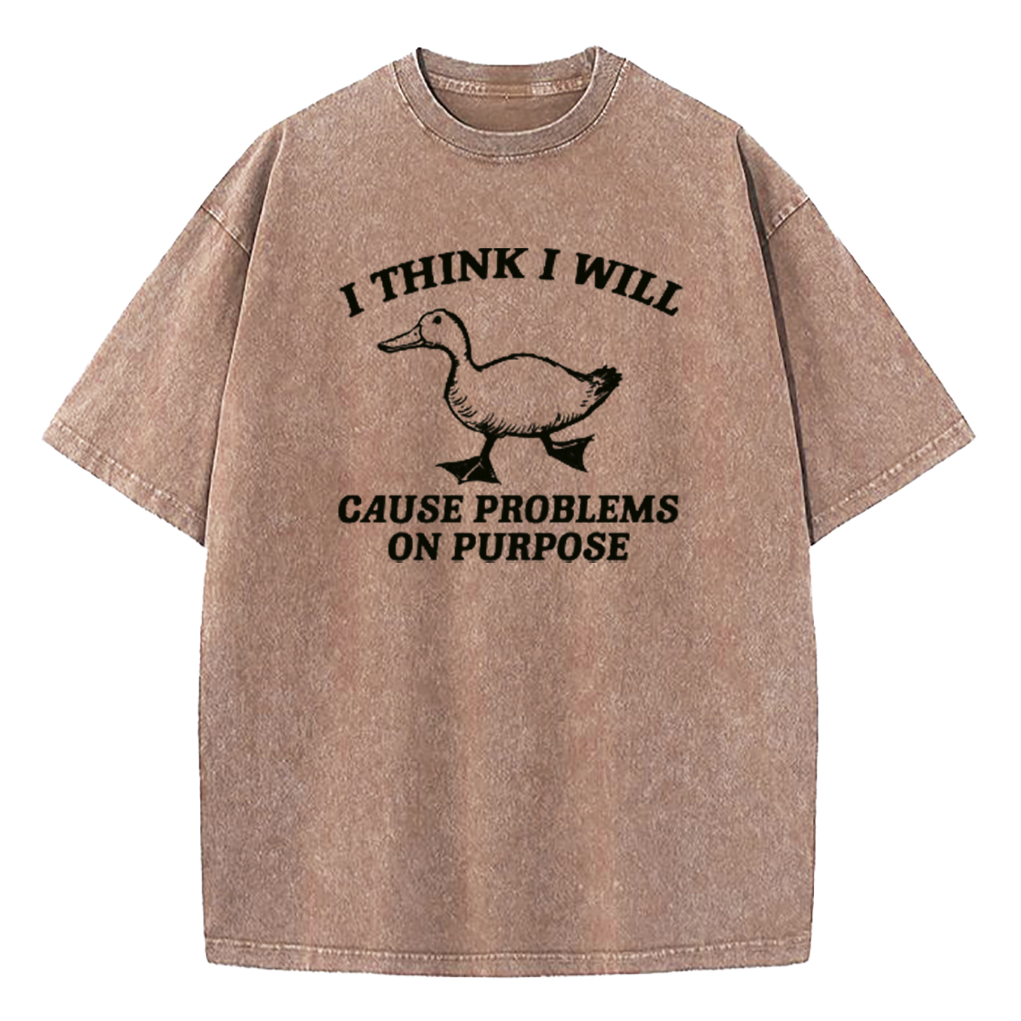 I Think I Will Cause Problems On Purpose Washed T-Shirt