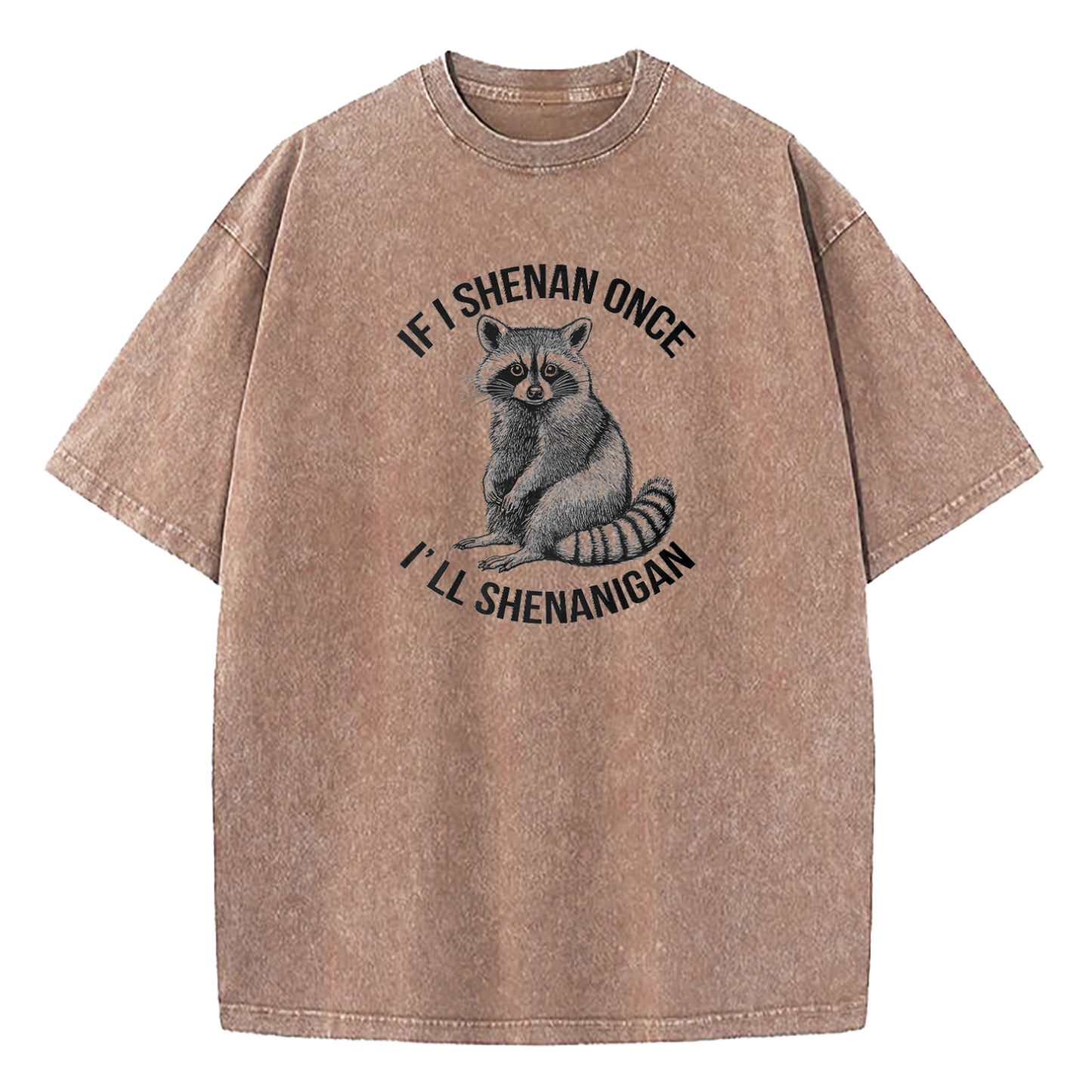 If I Shenan Once I'll Shenanigan Washed T-Shirt