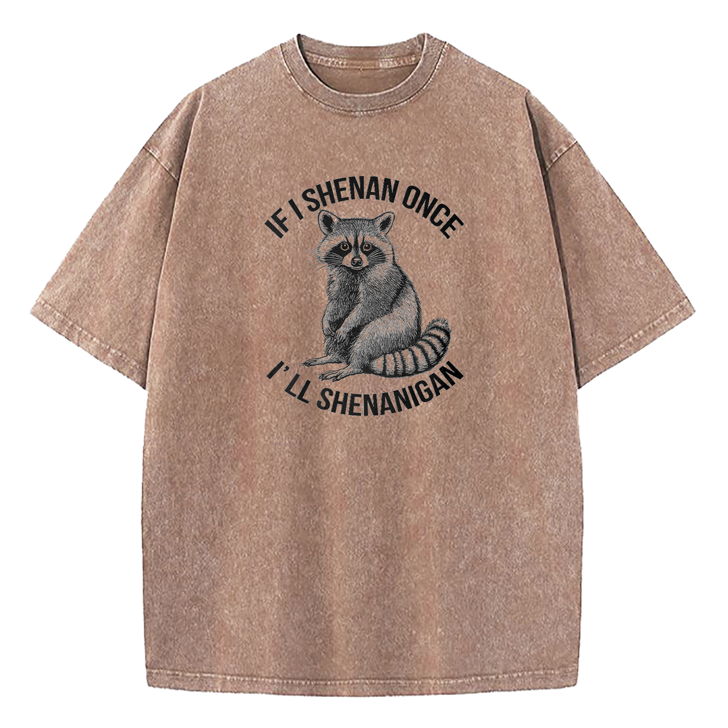 If I Shenan Once I'll Shenanigan Washed T-Shirt