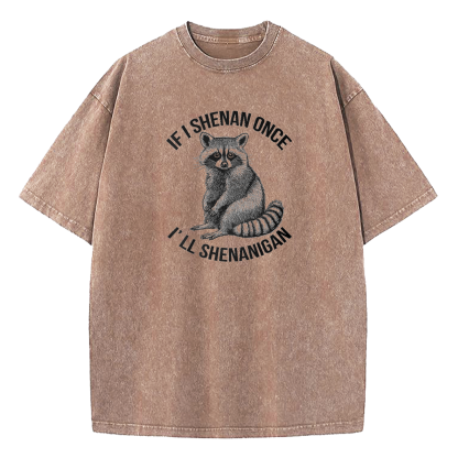 If I Shenan Once I'll Shenanigan Washed T-Shirt