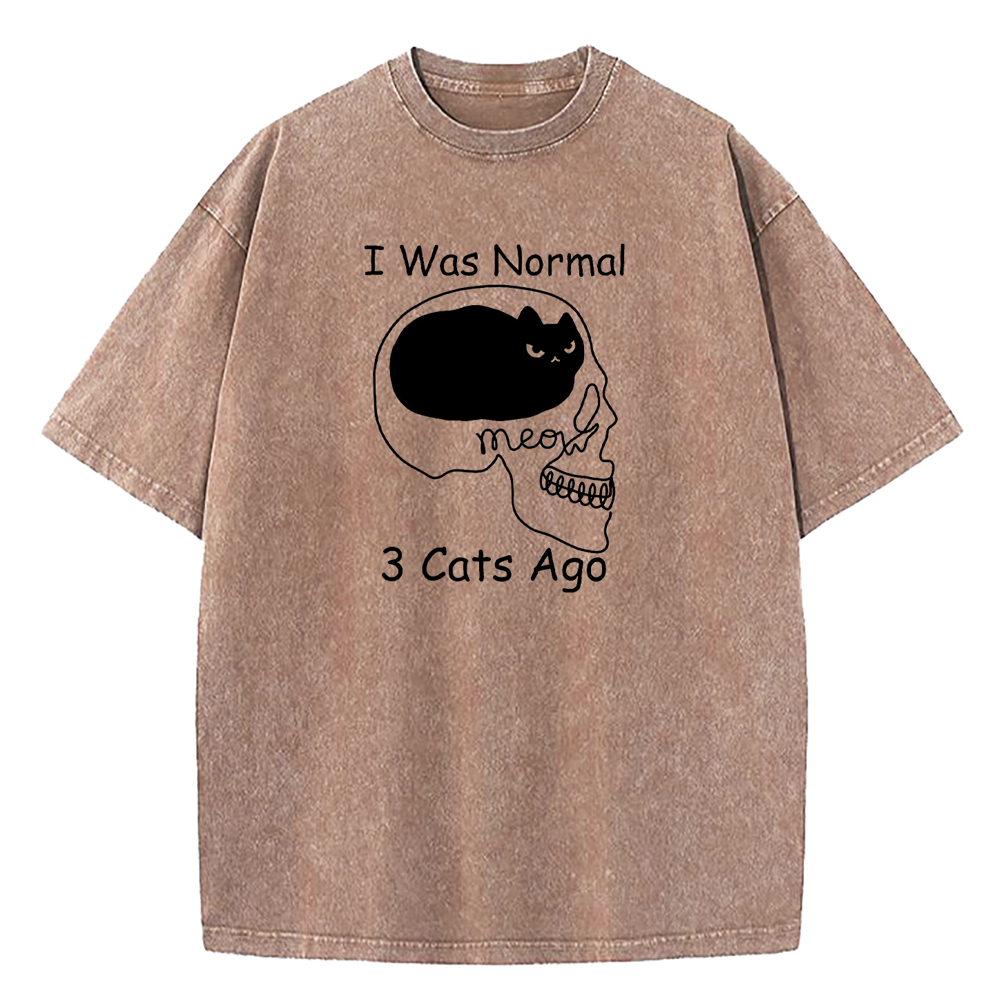 I Was Normal 3 Cats Ago Washed T-Shirt