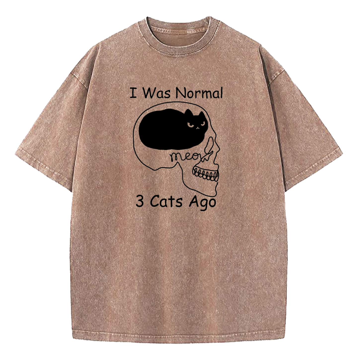 I Was Normal 3 Cats Ago Washed T-Shirt