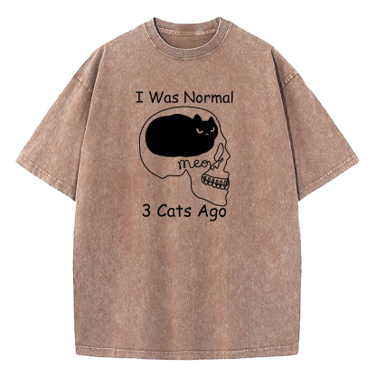 I Was Normal 3 Cats Ago Washed T-Shirt