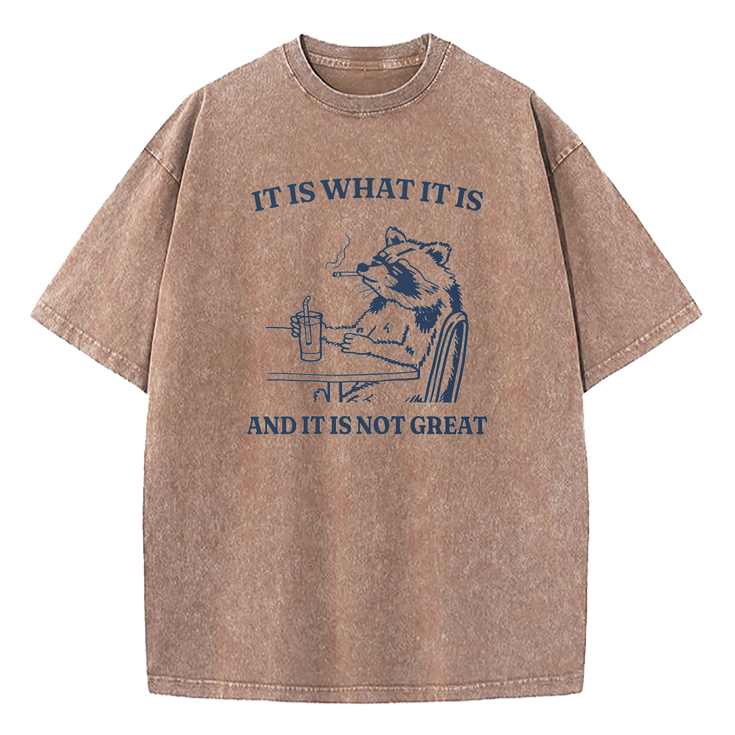It Is What It Is Funny Washed T-Shirt