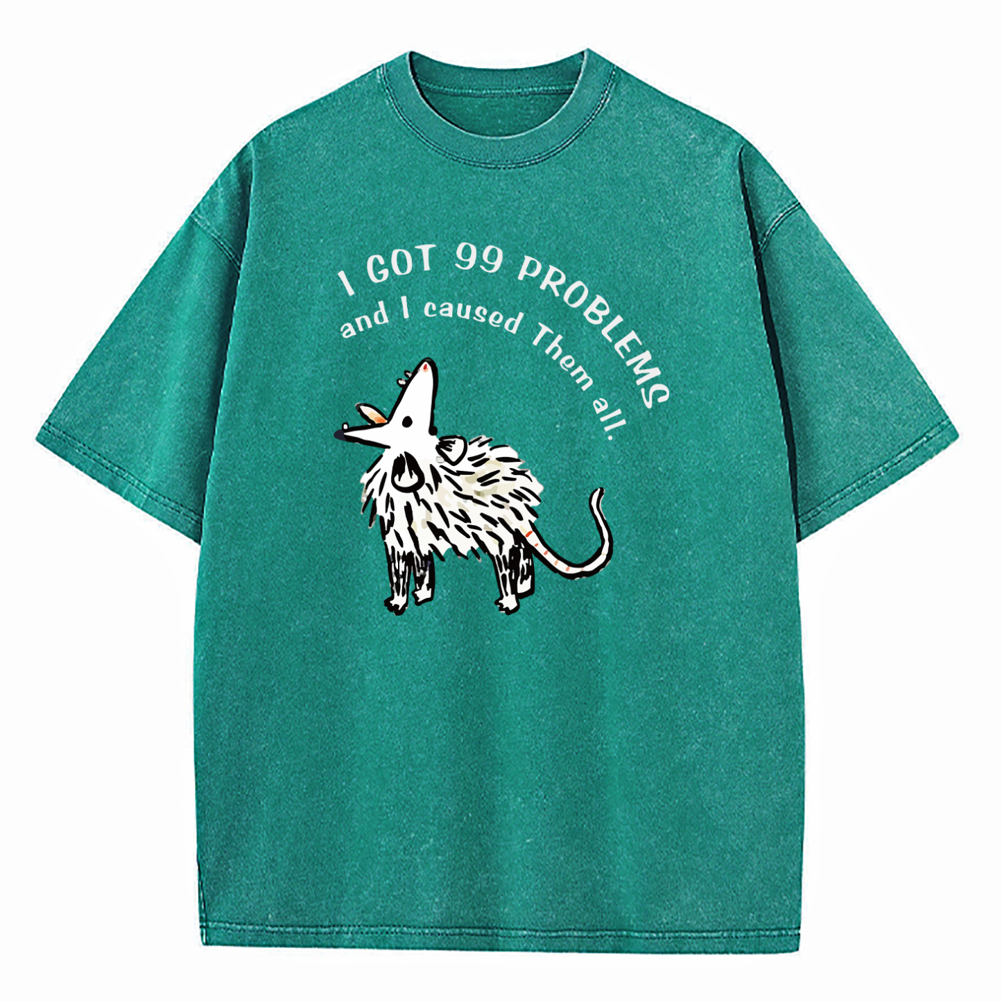 I Got 99 Problems And I Caused Them All Washed T-Shirt