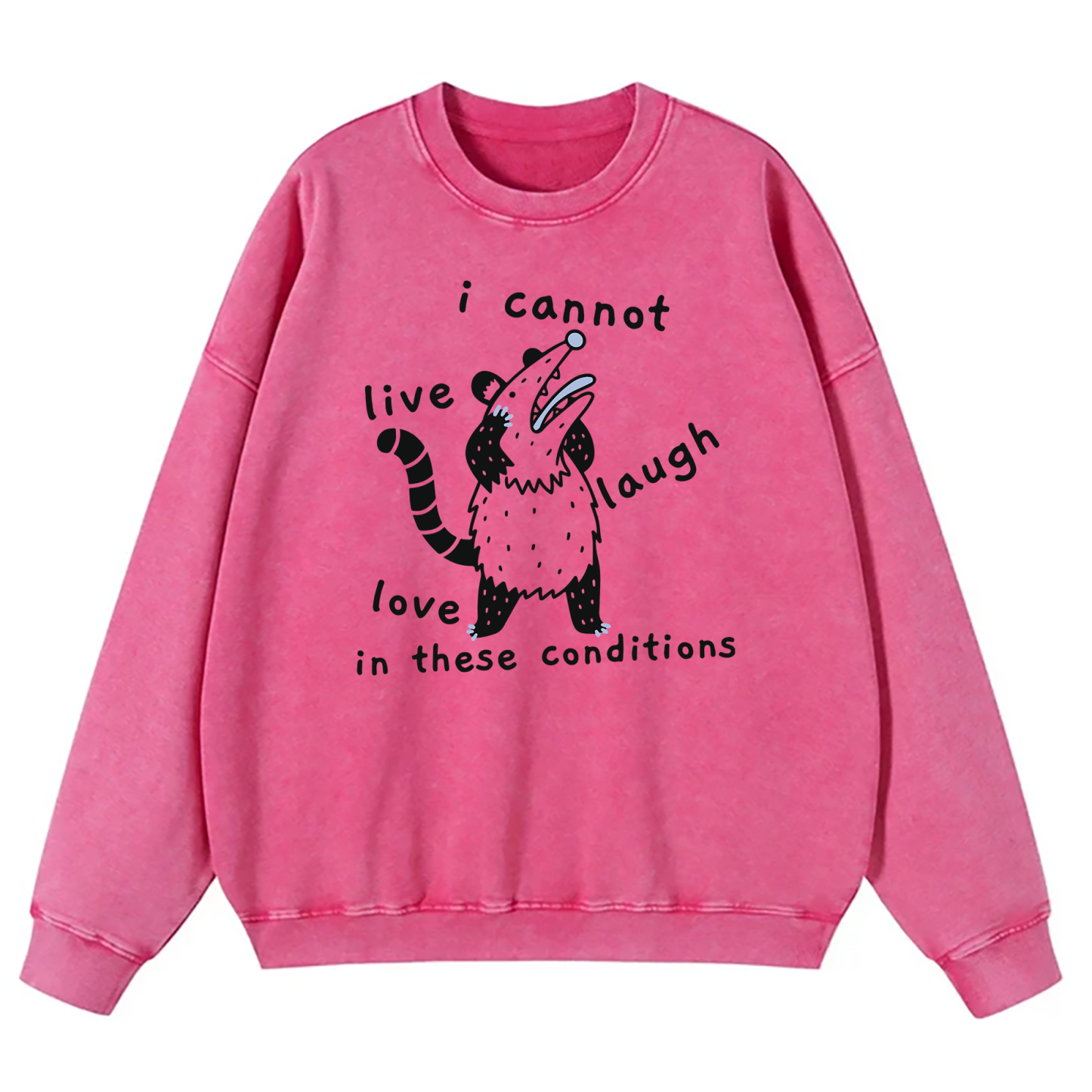 Opossum I Cannot Live Laugh Love In These Conditions Washed Sweatshirt