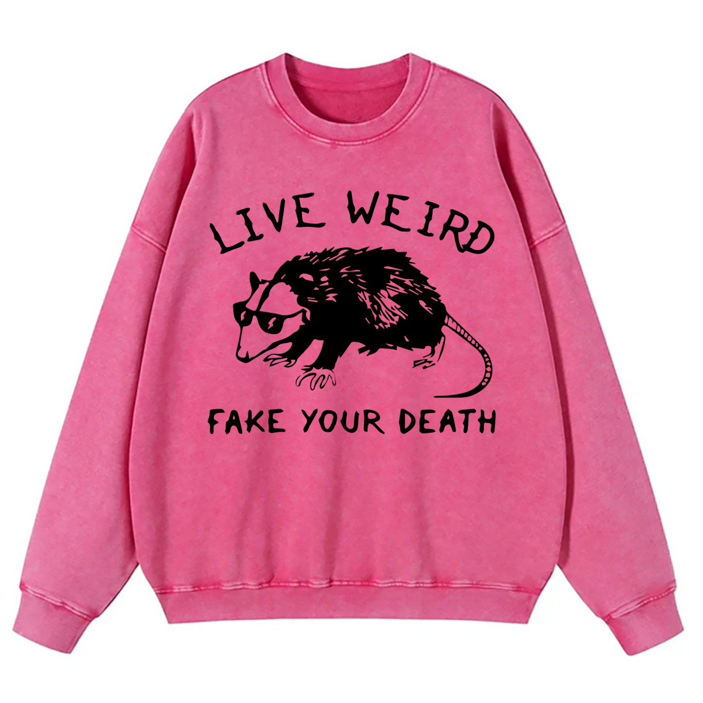 Opossum I Cannot Live Laugh Love In These Conditions Washed Sweatshirt