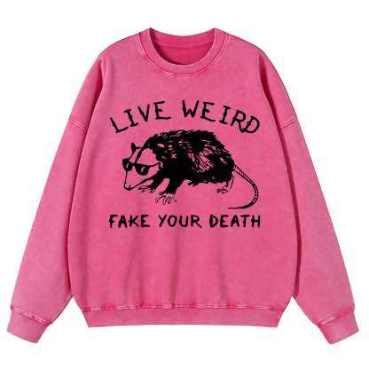 Opossum I Cannot Live Laugh Love In These Conditions Washed Sweatshirt