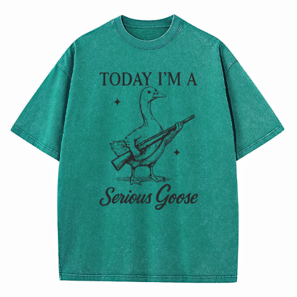 Today I'm A Serious Goose Washed T-Shirt