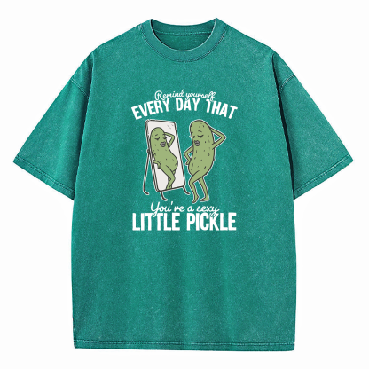 Remind Yourself Every Day That You're A S-xy Little Pickle Washed T-Shirt