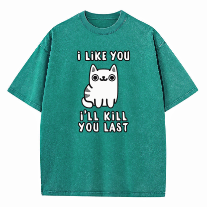 I Like You Ill Kill You Last Washed T-Shirt