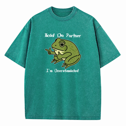 Hold On Partner I'm Overstimulated Washed T-Shirt