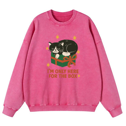 I'm Only Here For The Box Washed Sweatshirt