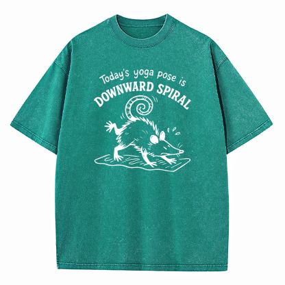 Today's Yoga Pose Is Downward Spiral Washed T-Shirt