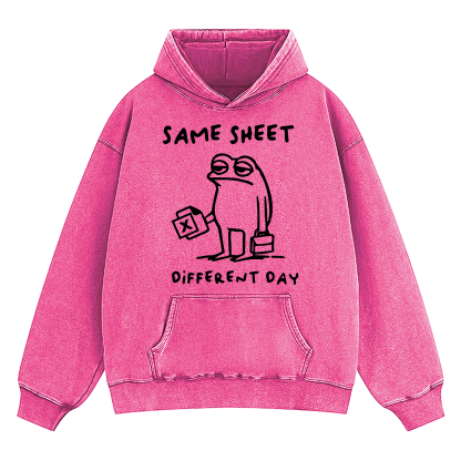Same Sheet Different Day Washed Hoodie