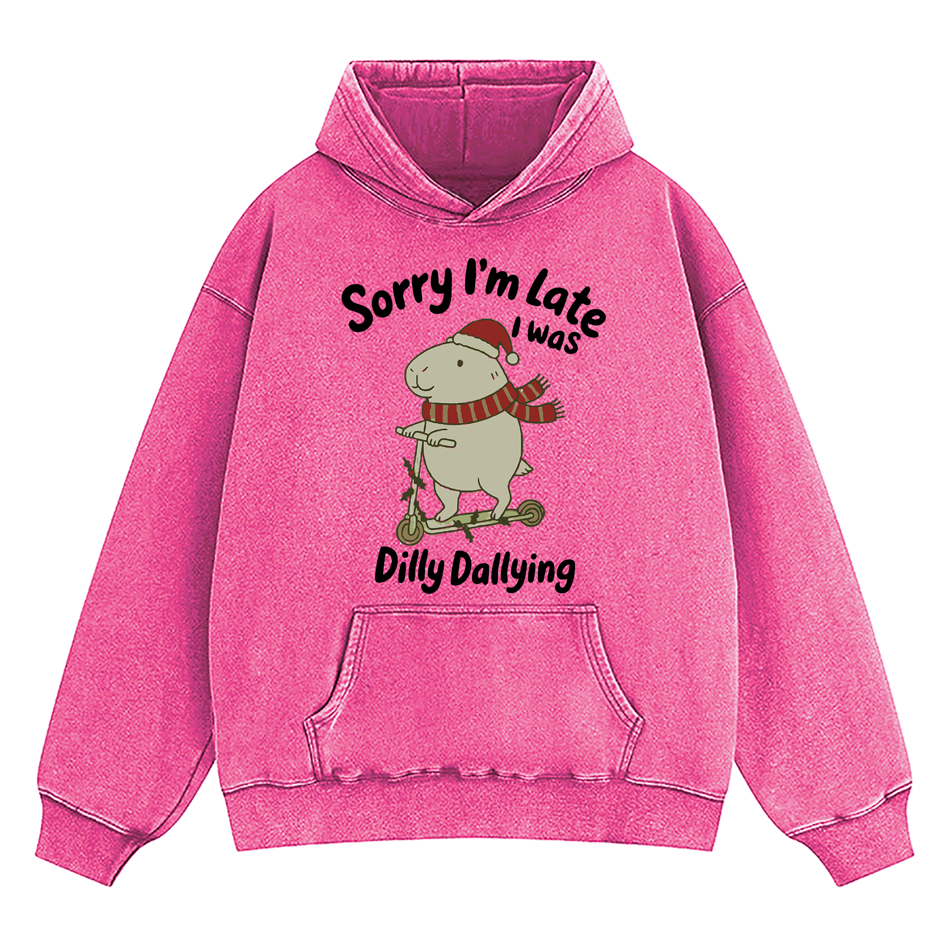 Sorry I'm Late I Was Dilly Dallying d Washed Hoodie
