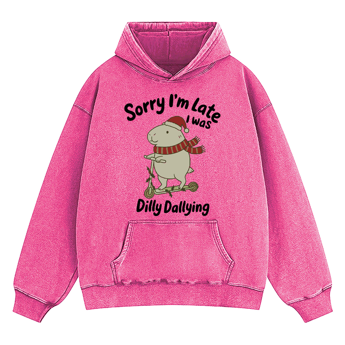 Sorry I'm Late I Was Dilly Dallying d Washed Hoodie