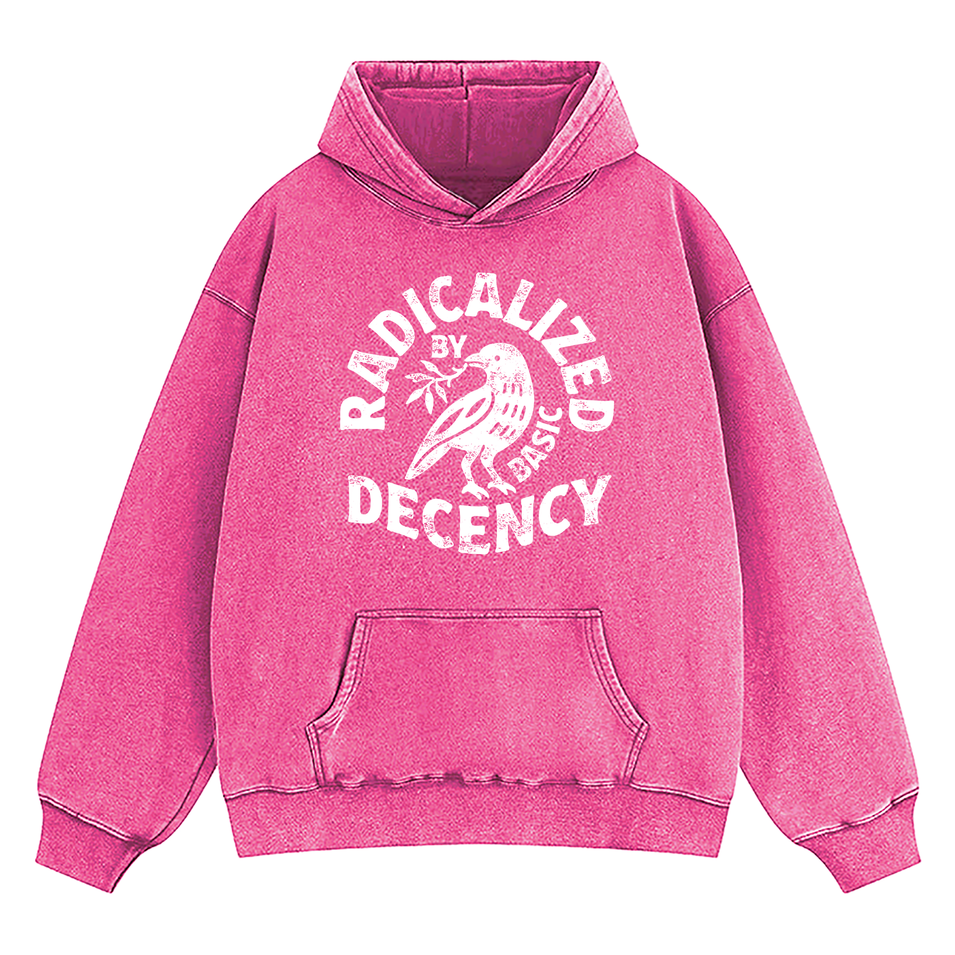 Radicalized By Basic Decency Washed Hoodie