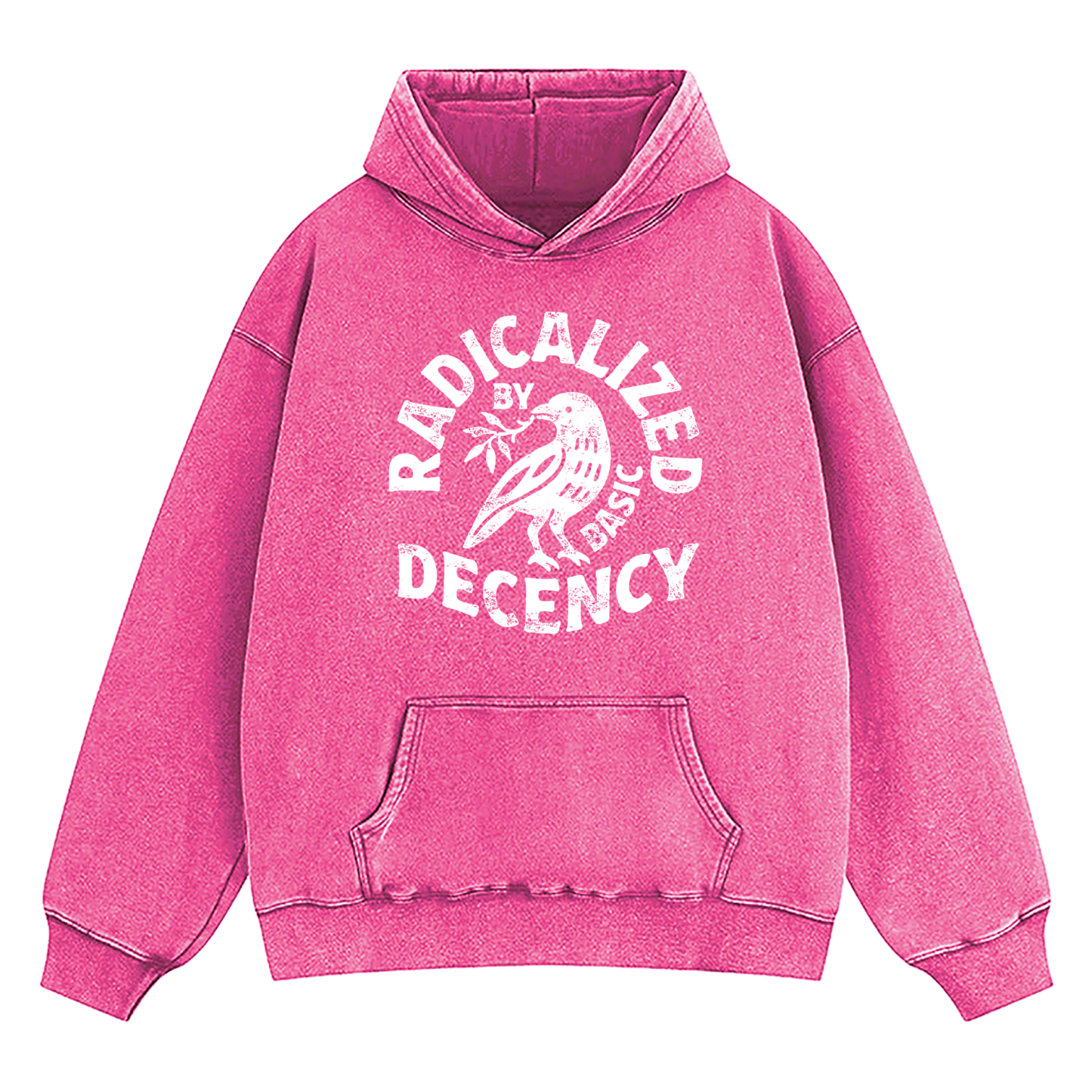 Radicalized By Basic Decency Washed Hoodie