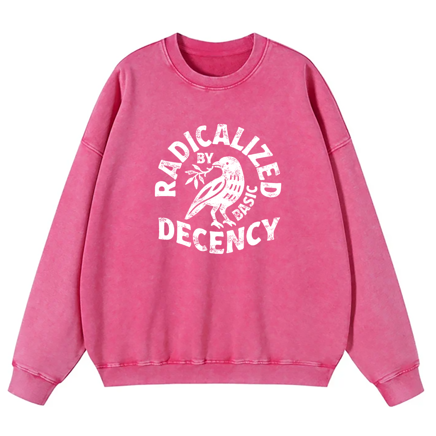 Radicalized By Basic Decency Washed Sweatshirt