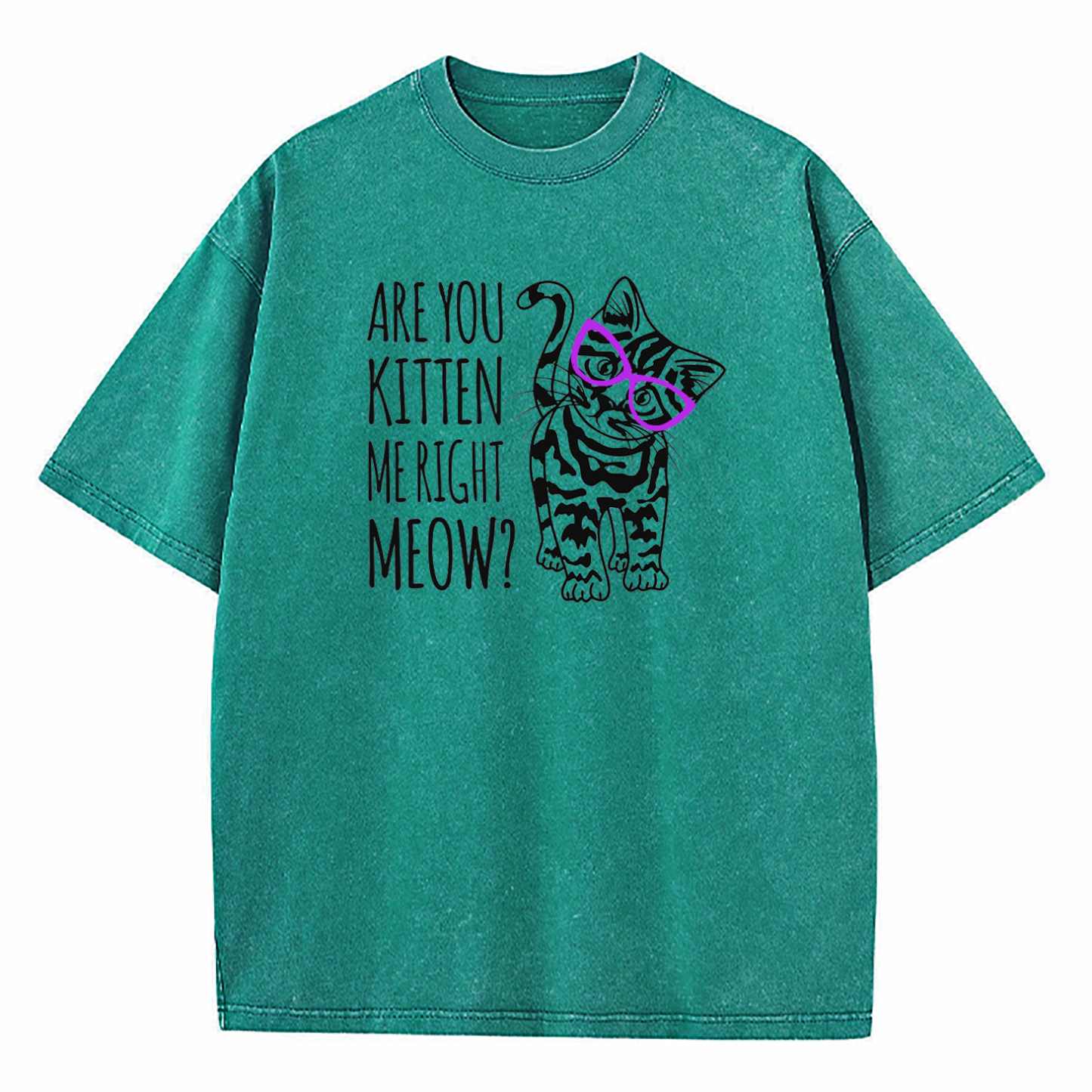 Are You Kitten Me Right Meow Washed T-Shirt