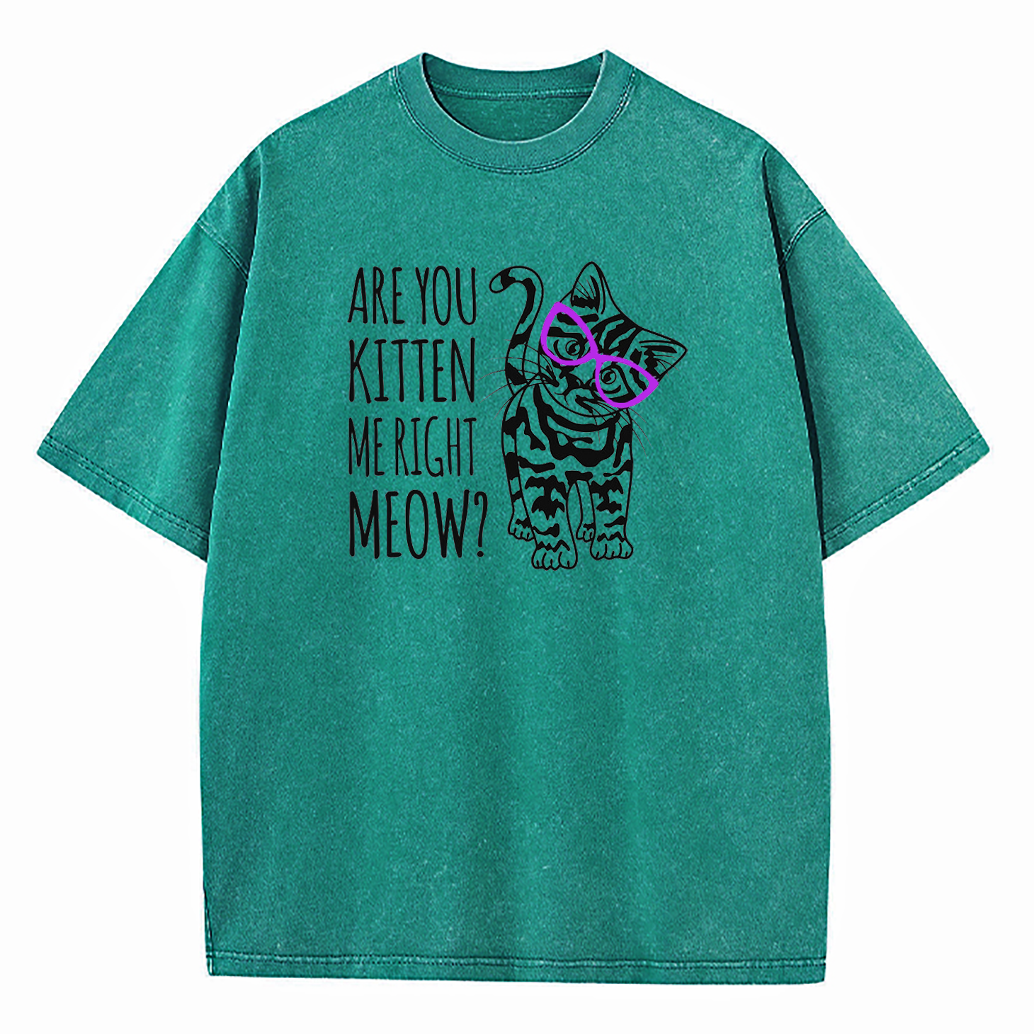 Are You Kitten Me Right Meow Washed T-Shirt