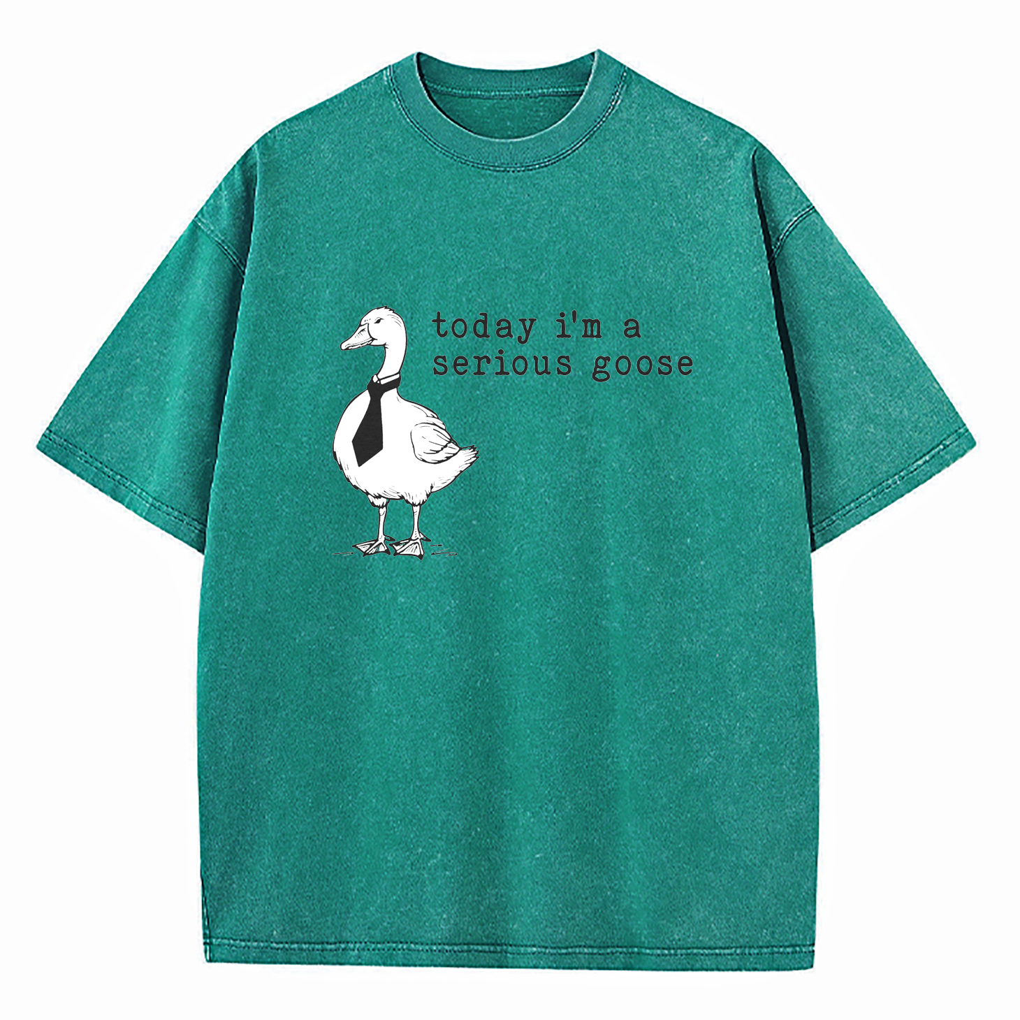 Today I'm A Serious Goose Washed T-Shirt
